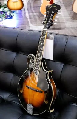 Store Special Product - Gold Tone - GM-35 F-Style Mandolin